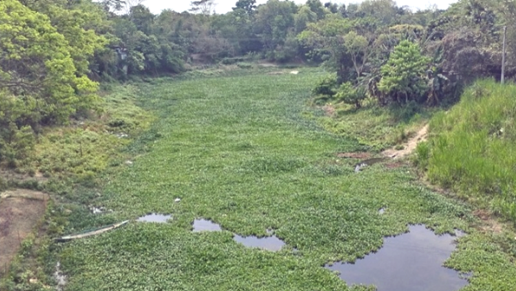 কাঁদছে ইছামতি: এক সময়ের প্রমত্তা নদী এখন বর্জ্যের স্তূপ