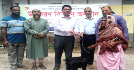 মনোহরদীতে ভিক্ষুক পুনর্বাসন কর্মসূচির আওতায় ছাগল বিতরণ