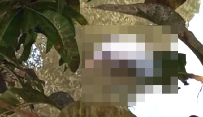 নবীনগরের পুকুরে ভাসমান মরদেহ: চট্টগ্রামপ্রবাসী দেলোয়ারের মৃত্যু ঘিরে রহস্য, এলাকায় তীব্র চাঞ্চল্য