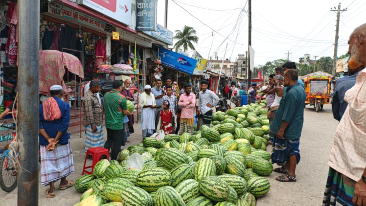 তজুমদ্দিনে সস্তায় মিলছে  তরমুজ: হাসি ফুটেছে সাধারণ ক্রেতাদের মুখে