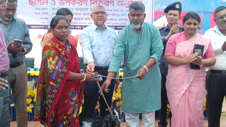 নওগাঁয় ক্ষুদ্র-নৃ-গোষ্ঠির শত পরিবারে ছাগল বিতরণ করলেন, এমপি ফজলে হুদা বাবুল 