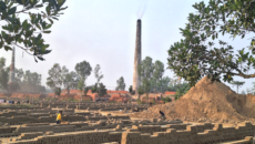 সংবাদ প্রকাশের ১ মাস পর অবশেষে আদমদীঘিতে অনুমোদনহীন ইটভাটার বিরুদ্ধে জরিমানা