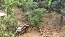 লামায় ট্রাক গাড়ি খাদে পড়ে ২ জনে মৃত্যু