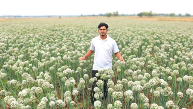 গোদাগাড়ীতে পেঁয়াজ বীজে নীরব বিপ্লব, তিন দশকের পারিবারিক ঐতিহ্যের সাফল্য