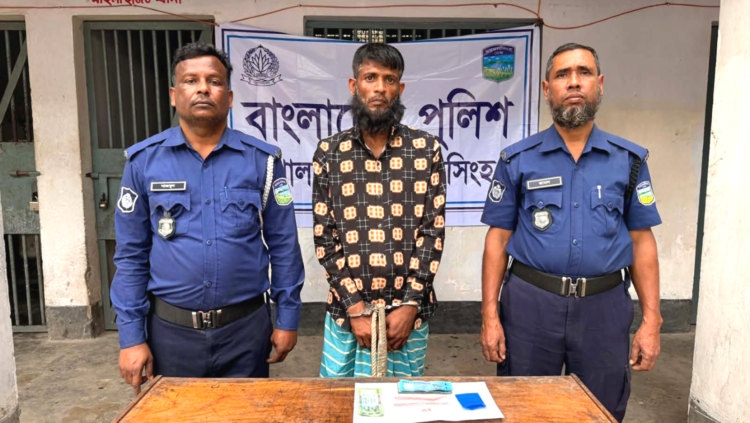 ত্রিশালে পুলিশের অভিযানে ইয়াবাসহ মাদক কারবারি গ্রেপ্তার