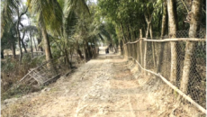 পেকুয়ায় ঝুঁকিতে ৩৫ গ্রামীণ সড়ক বর্ষায় চলাচল প্রায় বন্ধ, দ্রুত সংস্কারের দাবি এলাকাবাসীর