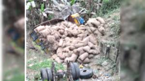 রাজবাড়ীতে আলুভর্তি ট্রাক উল্টে নিহত ১