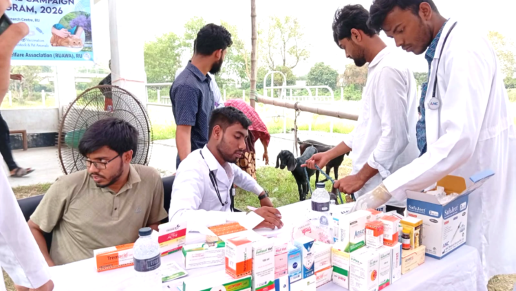রাবিতে বিনামূল্যে গবাদিপশু ও পোষা প্রাণীদের চিকিৎসা সেবা প্রদান