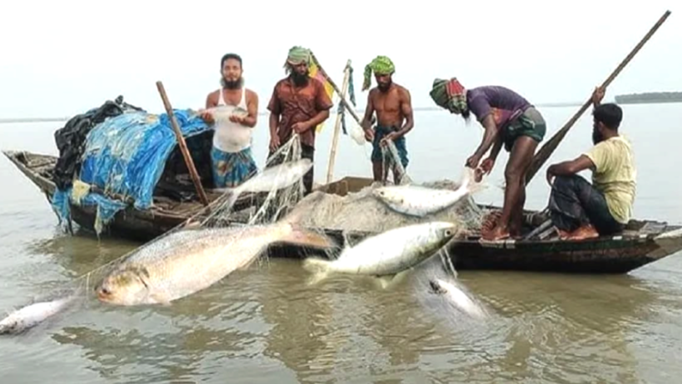 বঙ্গোপসাগরে ৫৮ দিনের মাছ ধরায়  নিষেধাজ্ঞা জারি