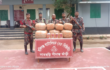 হবিগজ্ঞ ৫৫ বিজিবির অভিযানে ২ লাক টাকার ভারতীয় গাজা ও বিয়ার আটক