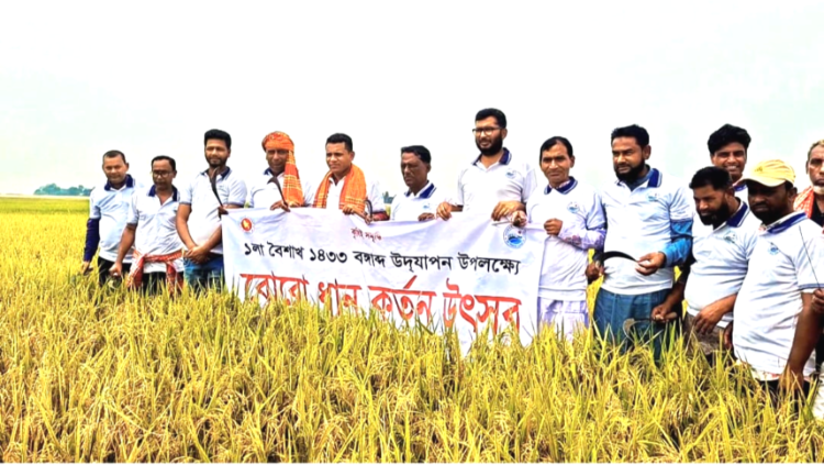 নববর্ষের সকালে শাল্লায় ধান কাটা উৎসবের শুভ সূচনা: বৈশাখের আমেজে সোনালি স্বপ্ন ঘরে তুলতে প্রস্তুত কৃষক