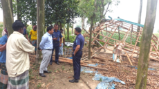 বীরগঞ্জে আদিবাসীদের কবরস্থানের গাছ কাটা ও কালী মন্দির ভাঙচুর, আদিবাসী যুবক তীর বৃদ্ধ হয়ে হাসপাতালে চিকিৎসাধীন