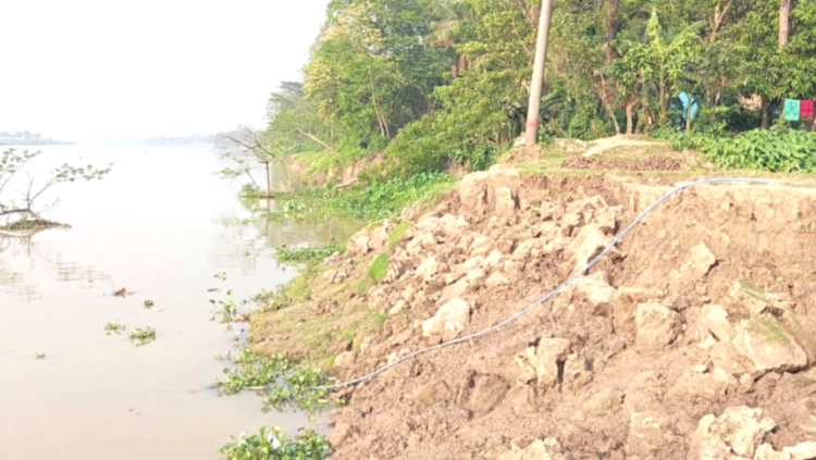 কাকাইলছেওয়ে কুশিয়ারা-কালনী নদীর ভাঙনে ফসলী জমি বিলীনের আশঙ্কা