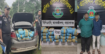 তিতাসে র‍্যাবের অভিযান: ১০০ কেজি গাঁজাসহ দুই মাদক ব্যবসায়ী আটক