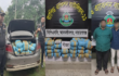 তিতাসে র‍্যাবের অভিযান: ১০০ কেজি গাঁজাসহ দুই মাদক ব্যবসায়ী আটক