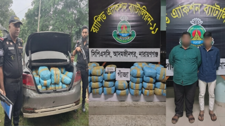 তিতাসে র‍্যাবের অভিযান: ১০০ কেজি গাঁজাসহ দুই মাদক ব্যবসায়ী আটক