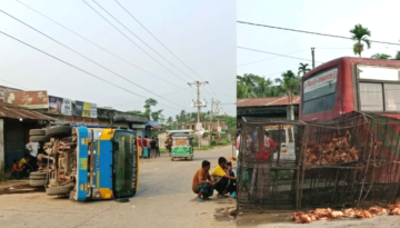 ভানুগাছে মুরগিবাহী ট্রাক দুর্ঘটনা: ৩৫০ মুরগি নিহত, আড়াই লাখ টাকার ক্ষতি