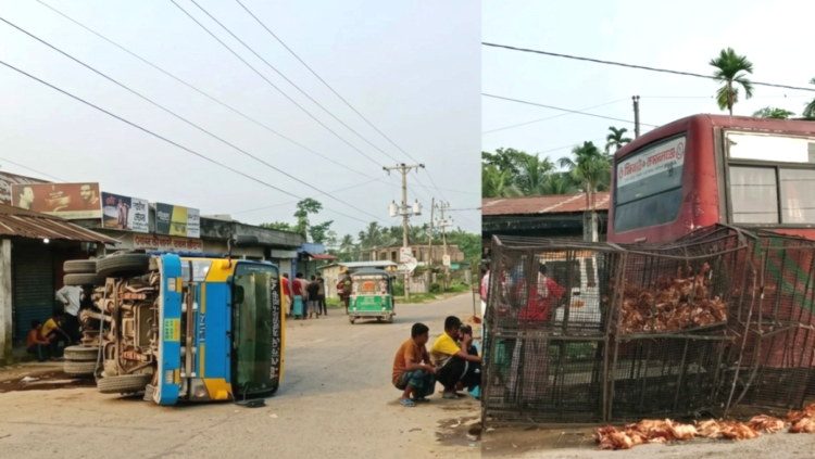 ভানুগাছে মুরগিবাহী ট্রাক দুর্ঘটনা: ৩৫০ মুরগি নিহত, আড়াই লাখ টাকার ক্ষতি