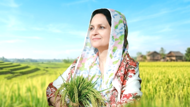 সংরক্ষিত নারী আসনে ঝালকাঠির বিএনপি নেত্রী জেবা আমিন খান মনোনীত, নেতাকর্মীদের উচ্ছ্বাস