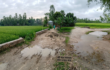 উন্নয়ন প্রকল্পে অনিয়ম, বর্ষায় জলাবদ্ধতার শঙ্কা