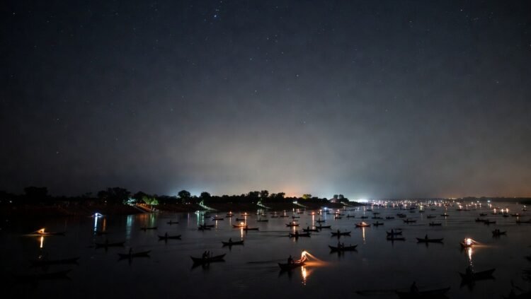 তজুমদ্দিনে প্রশাসনের নীরবতা: রাতের আঁধারে চলছে ইলিশ নিধনের মহোৎসব
