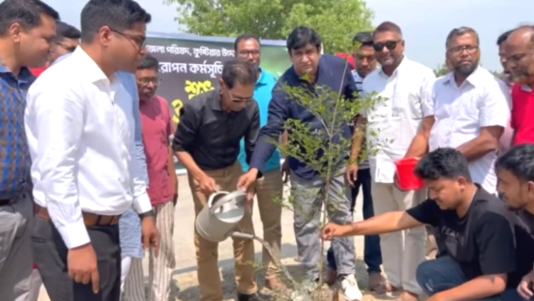 কুষ্টিয়ায় ২৫ হাজার বৃক্ষরোপণ কর্মসূচির উদ্বোধন করলেন সোহরাব উদ্দিন