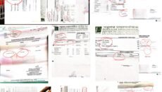 ডিমলায় ভুল ল্যাব রিপোর্ট নিয়ে উদ্বেগ : শিশুর ডায়াবেটিস আতঙ্ক ও জন্ডিস পরীক্ষায় বিভ্রান্ত