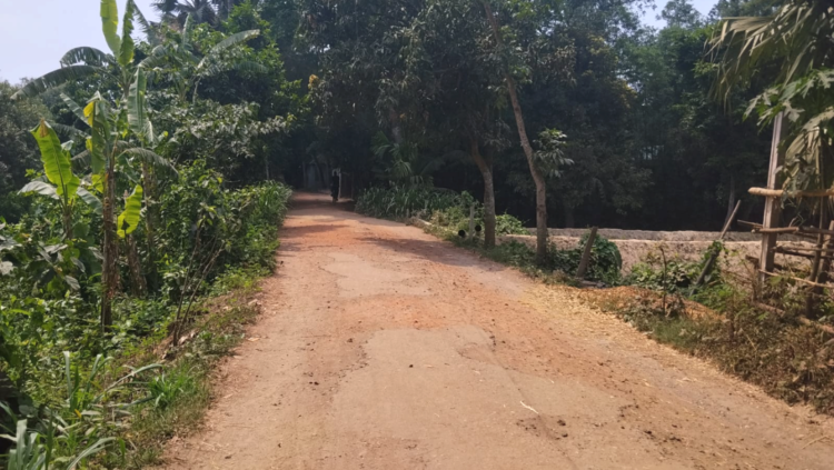 হরিরামপুরে রাখালিয়া বটতলা হতে দক্ষিণচাঁদপুর স্কুল যাওয়ার একমাত্র সড়কের রাস্তার বেহাল দশা -চরম দূর্ভোগ