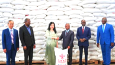 টোগোতে চীনের জরুরি খাদ্য সহায়তা প্রকল্পের সফল সমাপ্তি