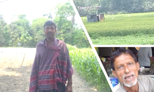 তেল নেই, সেচ বন্ধ, দোহার-নবাবগঞ্জে ধান উৎপাদন বিপর্যয়ের মুখে