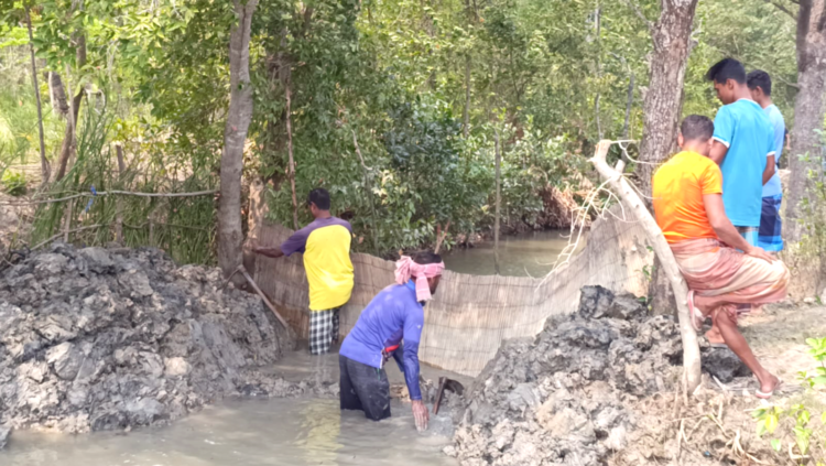 শ্যামনগরে রেকর্ডীয় জমির বেড়িবাঁধ কেটে নোনা পানি ঢুকিয়ে ব্যাপক ক্ষতি