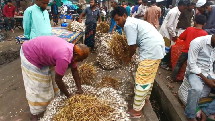 নীলফামারী ভবানীগঞ্জ হাটে পেঁয়াজ-রসুনের অতিরিক্ত টোল আদায়