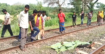 ভেড়ামারায় রেললাইনের পাশে মিলল যুবকের মরদেহ