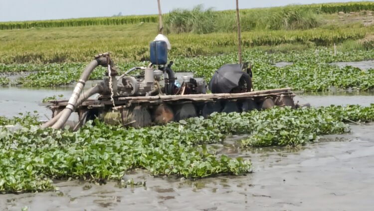 নবীনগরে চলছে কি “খাল খনন” না “মাটি লুটের মহোৎসব”?