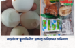 তাড়াইলে ‘স্কুল ফিডিং’ প্রকল্পে অনিয়মের অভিযোগ