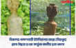 বিরলের পলাশবাড়ী ইউনিয়নের আগ্রা (সিয়পুর) গ্রামে উদ্ধার হওয়া কার্তুজ জাতীয় দ্রব্য ধ্বংস