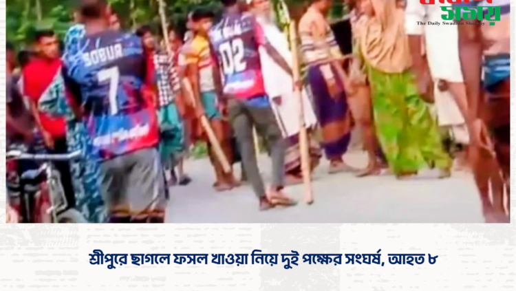 শ্রীপুরে ছাগলে ফসল খাওয়া নিয়ে দুই পক্ষের সংঘর্ষ, আহত ৮