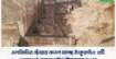এলজিডির ছোঁয়ায় বদলে যাচ্ছে ঠাকুরগাঁও: ৫টি গুরুত্বপূর্ণ সেতুতে বইছে উন্নয়নের হাওয়া  ​
