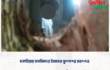 চকরিয়ায় মসজিদের ইমামের ঝুলন্ত মরদেহ