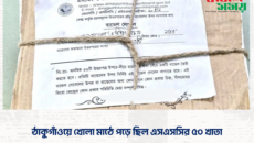 ঠাকুগাঁওয়ে খোলা মাঠে পড়ে ছিল এসএসসির ৫০ খাতা