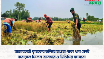 রাজারহাটে কৃষকের তলিয়ে যাওয়া পাকা ধান কেটে ঘরে তুলে দিলেন আনসার ও ভিডিপির সদস্যরা