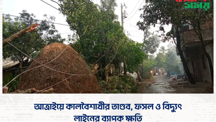 আত্রাইয়ে কালবৈশাখীর তাণ্ডব, ফসল ও বিদ্যুৎ লাইনের ব্যাপক ক্ষতি