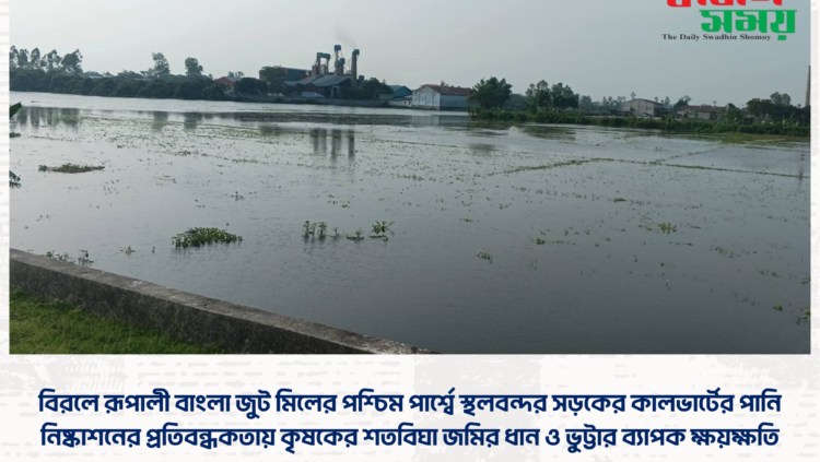 বিরলে রূপালী বাংলা জুট মিলের পশ্চিম পার্শ্বে স্থলবন্দর সড়কের কালভার্টের পানি নিষ্কাশনের প্রতিবন্ধকতায় কৃষকের শতবিঘা জমির ধান ও ভুট্টার ব্যাপক ক্ষয়ক্ষতি