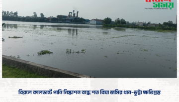 বিরলে কালভার্টে পানি নিষ্কাশন বন্ধে শত বিঘা জমির ধান–ভুট্টা ক্ষতিগ্রস্ত
