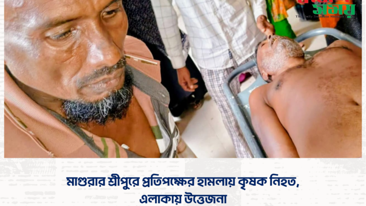 মাগুরার শ্রীপুরে প্রতিপক্ষের হামলায় কৃষক নিহত, এলাকায় উত্তেজনা
