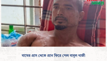 বাঘের গ্রাস থেকে প্রান ফিরে পেল বাবুল গাজী