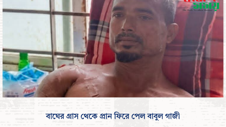 বাঘের গ্রাস থেকে প্রান ফিরে পেল বাবুল গাজী