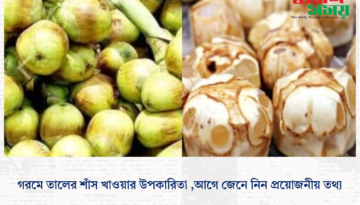 গরমে তালের শাঁস খাওয়ার উপকারিতা ,আগে জেনে নিন প্রয়োজনীয় তথ্য