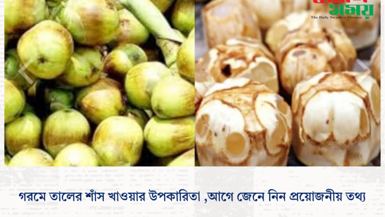 গরমে তালের শাঁস খাওয়ার উপকারিতা ,আগে জেনে নিন প্রয়োজনীয় তথ্য