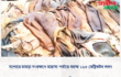 যশোরে চামড়া সংরক্ষণে মাদ্রাসা পর্যায়ে বরাদ্দ ১৬৫ মেট্রিকটন লবণ